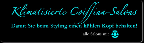 Banner-Klimatisierung.jpg